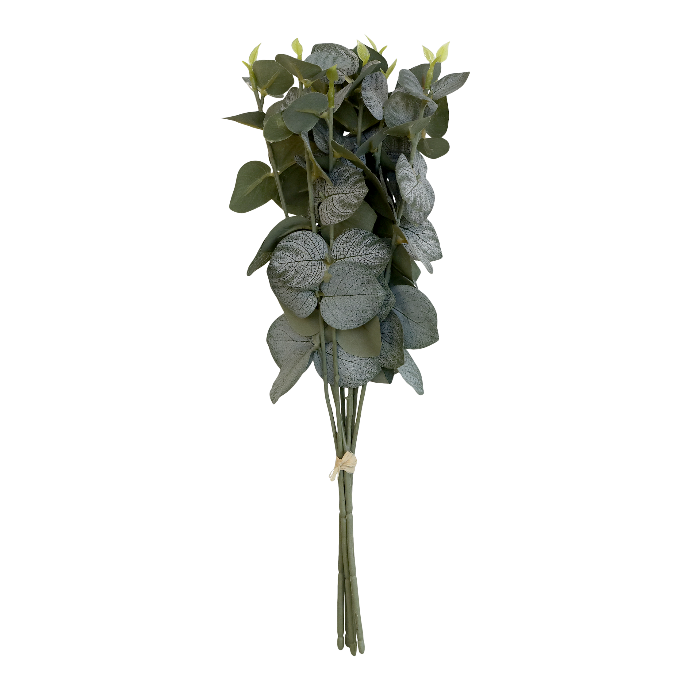 Eucalyptus bukett