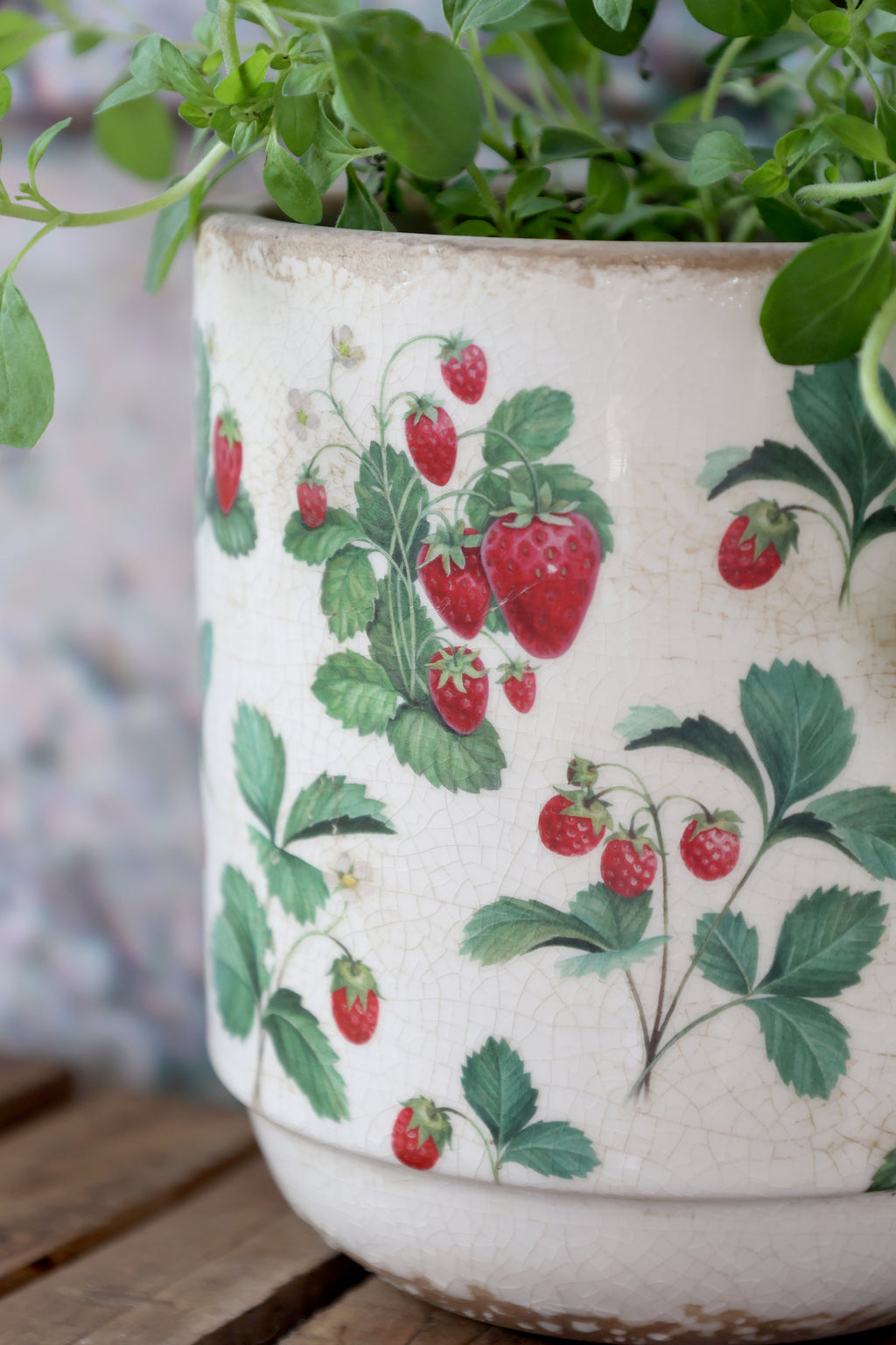 Fraises PotteSkjuler m. jordbær