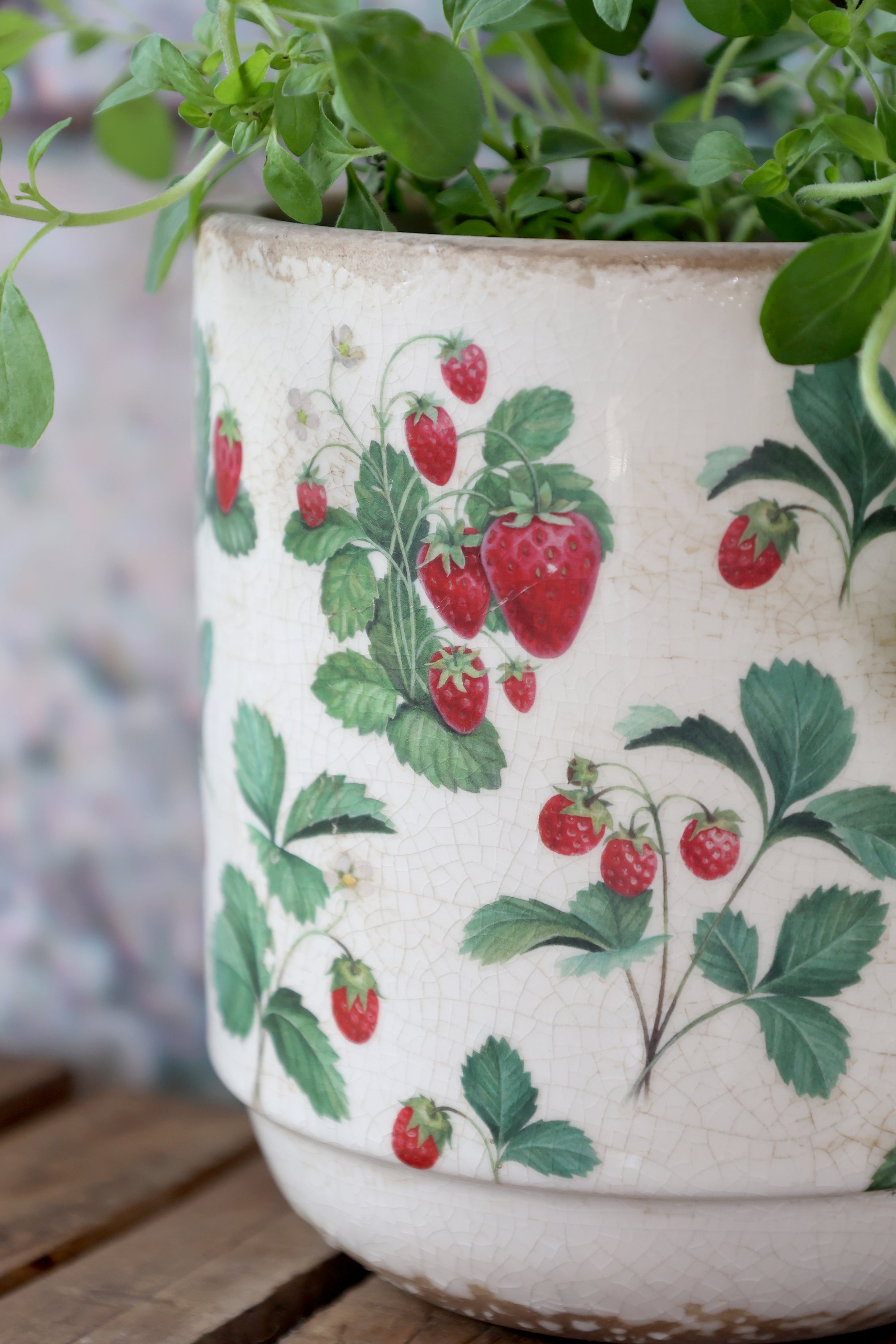 Fraises PotteSkjuler m. jordbær