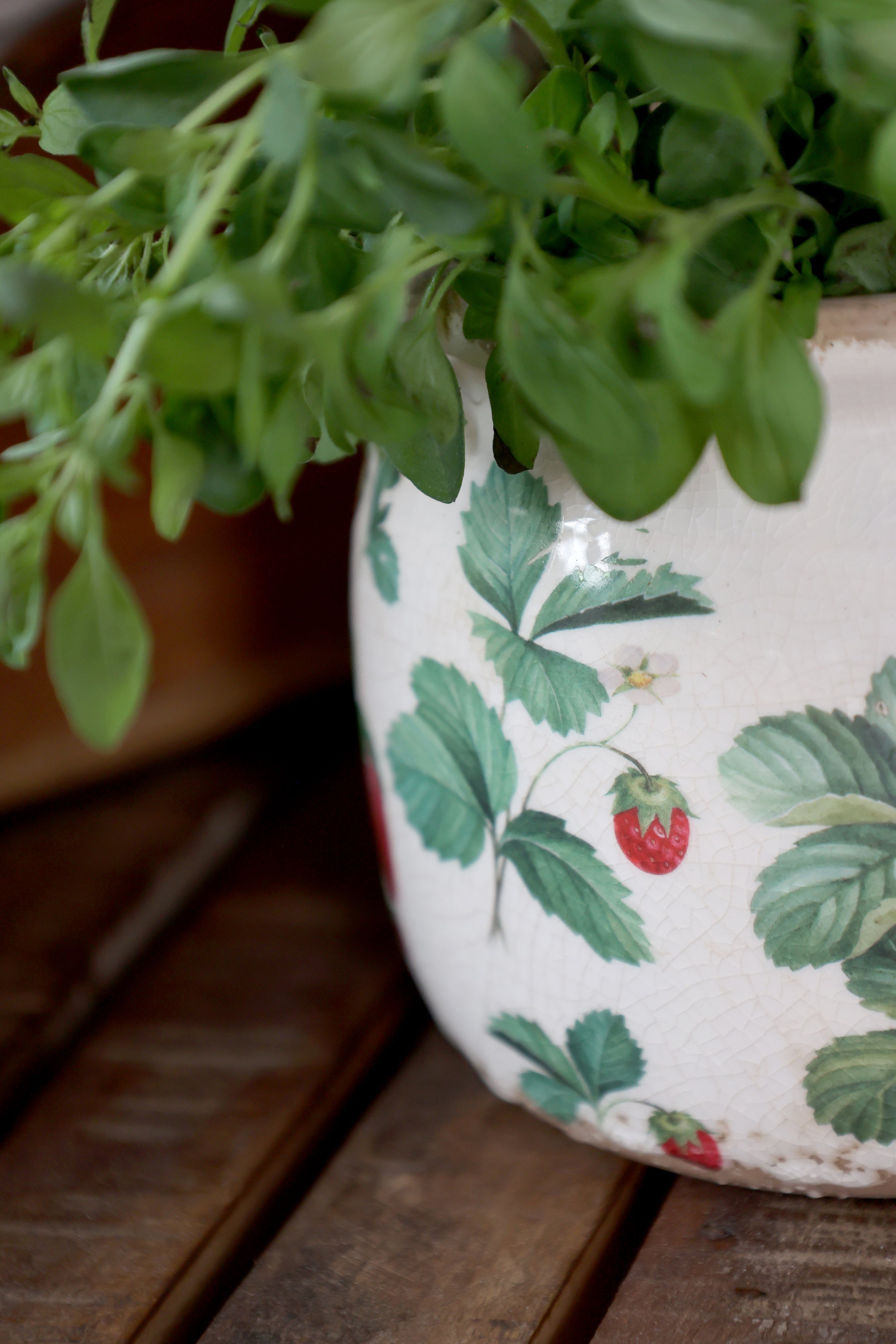 Fraises Skjuler m. jordbær