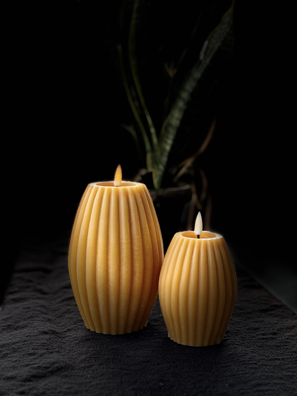 Deluxe Rillelys Karry D7 H10